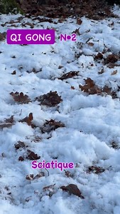 🔸 série Qi Gong - Énergie des reins & sciatique 🔸 Aujourd’hui, je te propose un mouvement de Qi Gong pensé pour soulager le trajet du nerf sciatique et redonner de l’espace au bas du dos et aux jambes. Ce mouvement agit en douceur, sans forcer, pour décomprimer, étirer et faire circuler l’énergie là où les tensions s’installent souvent. 👉 As-tu déjà ressenti une gêne ou une douleur qui descend dans la jambe ? Prends quelques minutes pour pratiquer avec moi, observe ce qui change… Et dis-moi e