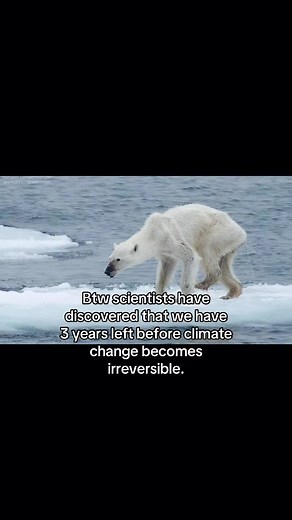 Urgent Climate Change Action: Save Our Planet Now