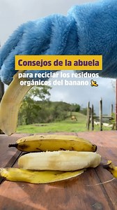 Siempre es un buen momento para aprender cómo cuidar tus #plantas 🪴¿Listos para ponerlo a prueba? #cuidadoplantas #consejos #tips | Familia