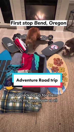 Chowder and Maddie are hitting the open road. Chowder will be skating, skimboarding and surfing down the coast. Maddie will enjoy the rays🥰. Stay tuned for the fun adventures ahead.#road-trip #familyfun #skate #surf #dogtok #vacation #dogtravel