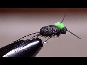 Foam Beetle 2.0