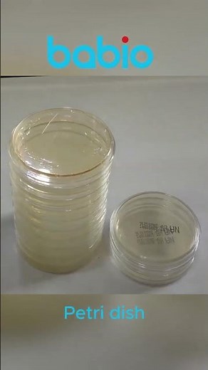 Sterile 3-Layer Petri Dishes & Essential Agar Media: R2A, Nutrient, SDA for Microbial Culture