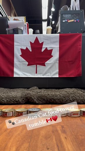 Ask and you shall receive! Here is your #canadian wet cat food! Let’s get this one out there too! #fyp #viral_video #canadiancheck #canadian #canada_life🇨🇦 #canadianretail #canadiancatfood #canada🇨🇦 #canadianpetstore #retaillife #canadianbrands #petsoftiktok #petvalucanada #wereinthistogether #thisiscanada ♥️