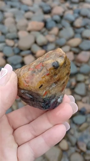 Puddingstone hunting on Lake Huron #michigan #rocks #puddingstones #puddingstone #greatlakes #lake