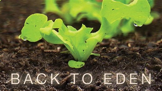 Back to Eden (2011)