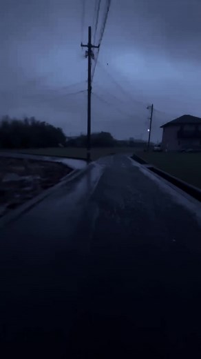 素材配布｜夜の景色・雰囲気動画の保存方法と使い方