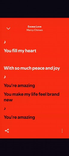 Excess Love Lyrics by Mercy Chinwo