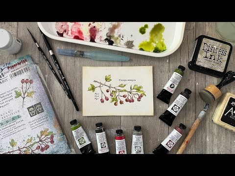 Watercolour Wednesday with my PaperArtsy Hawthorn Berries