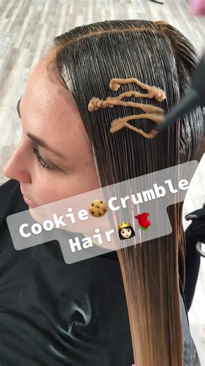 Cookies and Cream Hair Color Transformation