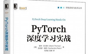 带你一天搞定PyTorch！学不会up直接下跪！PyTorch深度学习快速入门教程（草覆虫都能学会！）（python PyTorch入门实战（附课程源码）