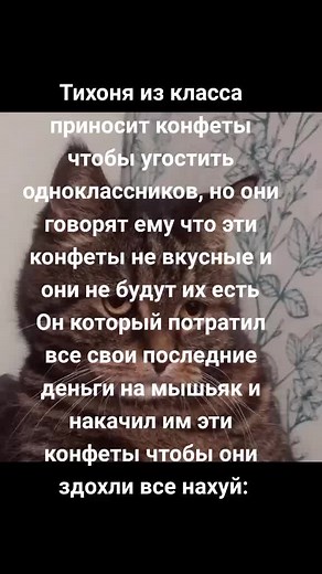 Charming Close-Up of a Cat with Beautiful Eyes