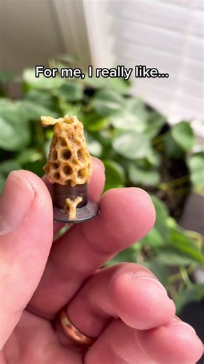 The Beauty of Queen Bees and Cocooning