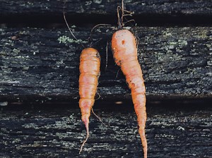 スクールカウンセラー必携いじめ対応の秘術！【臨床心理士の知恵】