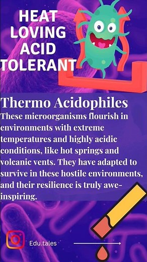 Exploring Archaebacteria: Methanogens, Thermo Acidophiles, and Halophiles
