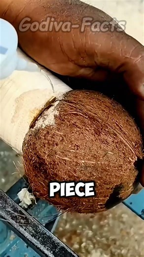 How Does a Coconut Shell Turn Into a Toy?