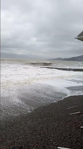 Сочи 24 ноября 2024 г. 🌧️