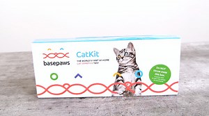Basepaws Cat DNA Test Review (We Tried It) - Cats.com