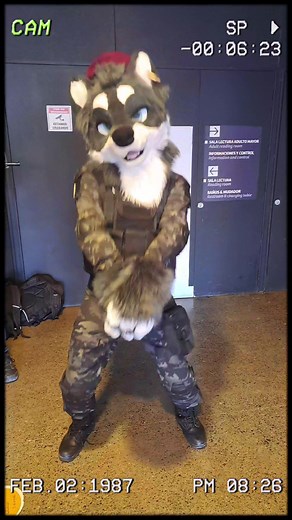 Furry Cosplay Sexy Fursuit Lap Dance