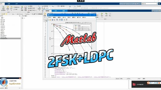 基于2FSK调制解调+LDPC编译码通信链路matlab误码率仿真
