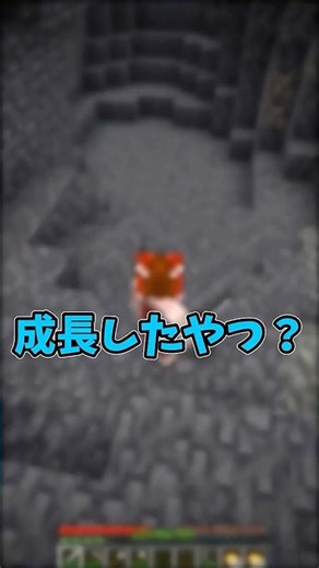 成長したやつ？【マインクラフト/Minecraft】【ゆっくり実況】#shorts #マインクラフト