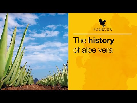 The History of Aloe Vera | Forever Living UK & Ireland