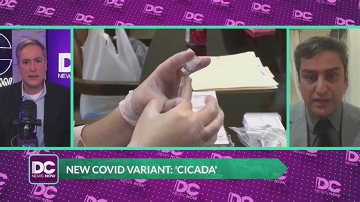 What's going around | New COVID variant spreading in DMV