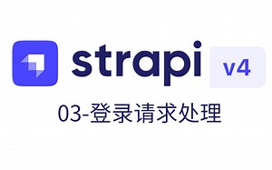 Strapi-03-登录接口请求处理丨景水丨让前端快速生成API