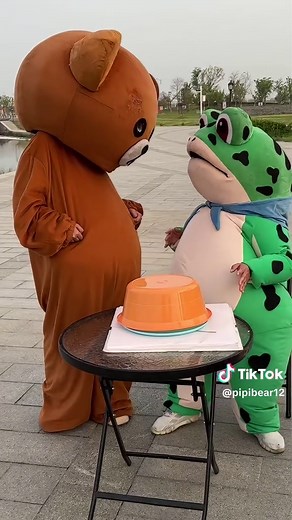 Funny Bear Video Compilation