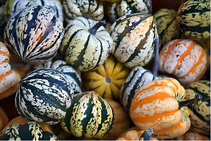 Sweet Dumpling Heirloom Winter Squash Seeds - Organic, Non-gmo - Etsy