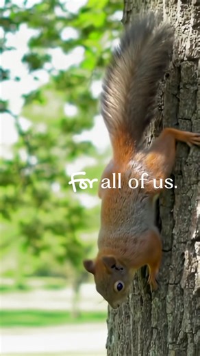 Since 1875, we’ve stood for ensuring we all have access to the benefits of trees. Celebrate our 150th anniversary with us. | American Forests