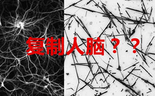 【今日科学】纳米线网络像人脑一样学习和记忆