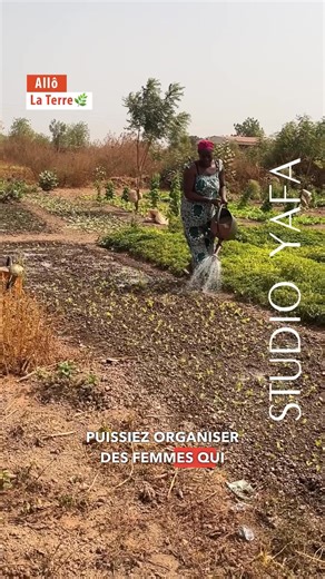 𝐀𝐥𝐥𝐨̂ 𝐥𝐚 𝐓𝐞𝐫𝐫𝐞 : 𝐐𝐮𝐚𝐧𝐝 𝐌𝐨𝐮𝐬𝐬𝐨 𝐍𝐞𝐰𝐬 𝐟𝐚𝐢𝐭 𝐠𝐞𝐫𝐦𝐞𝐫 𝐥'𝐞𝐬𝐩𝐨𝐢𝐫 𝐚̀ 𝐥𝐚 𝐂𝐞𝐢𝐧𝐭𝐮𝐫𝐞 𝐯𝐞𝐫𝐭𝐞 𝐝𝐞 𝐎𝐮𝐚𝐠𝐚𝐝𝐨𝐮𝐠𝐨𝐮 ! Cap sur le site de ce média engagé qui a décidé de troquer la plume pour la pioche . Né en 2023, le jardin de Mousso News a pris un véritable tournant en 2025 grâce à l'installation d'un forage manuel. Certes, le combat est rude : l'accès à l'eau reste un défi physique épuisant au quotidien. Mais chaque goutte versée est une victoir