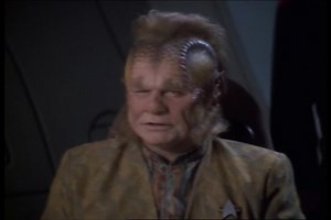 18K views · 737 reactions | Starfleet Records. Starfleet Personnel:...