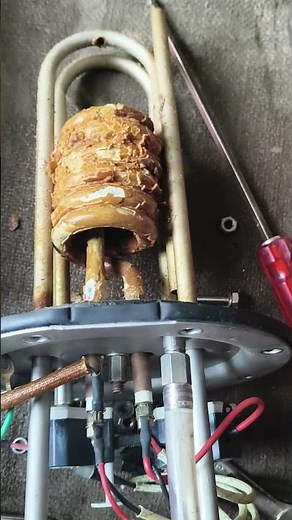 Geyser Cleaning #appliancerepair #vairal #shorts