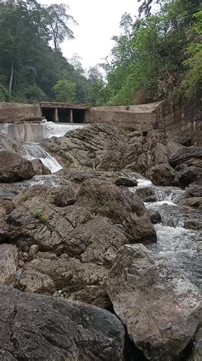 Video của Chế Linh (@che_linh3) với bản nhạc nhạc nền - Chế Linh