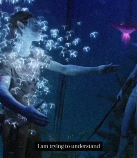 Exploring the Spiritual Connection in Avatar’s Forest