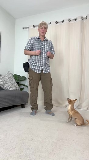 13K views · 328 reactions | How to teach your TINY DOG this super CUTE TRICK of jumping through your legs. Epic the Chihuahua demos how it's done. #dogtricks #dogtraining #dogtrainer #trickdog #rescuechihuahua #chihuahua #dogsofinstagram #dogtrainingtips #toydog #trickdog #chihuahuatricks | Dogmantics Dog Training | Facebook