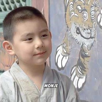 ¿Por qué el maestro no detuvo el error que cometió el discípulo?#shorts #movie #kdrama