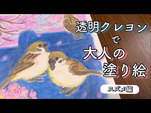 透明クレヨンで大人の塗り絵 ～スズメ～