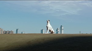 挚友 The Friend (2024).1080p.HD中英双字