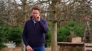 Knackige Ernte aus dem eigenen Garten: So einfach ist der Anbau von Möhren