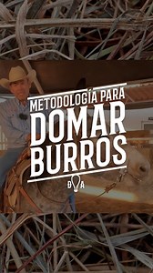 6K views · 2.9K reactions | Los burros han sido estigmatizados,...