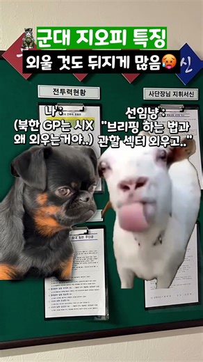 군대 지오피 특징 #shorts #군대