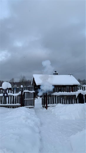 BLACK DEVIL😈 #top#fireworks #pyro #pyrotechnica #like #firecracker #live #hunting #snow #experiment