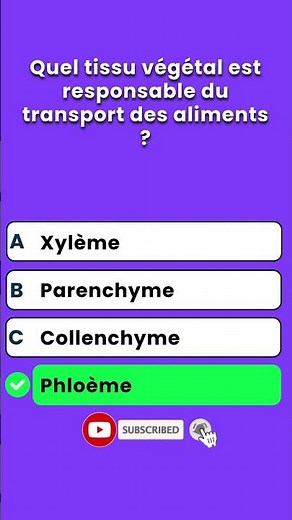 10 questions pour tester vos connaissances 🎓🔍🧐 | Quiz de Culture Générale