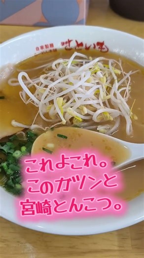 NEWOPEN！宮崎市大淀【らーめん本舗 さといも 南宮崎店】これぞ宮崎とんこつ！ド定番のラーメン食べてみた。