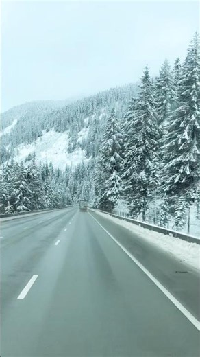 Driving through a snowy Washington forest. Pure winter magic. #Washington #Winter #Snow