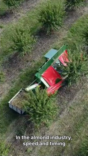 This is how 1 Million Almonds are harvested! 🥜💨