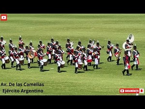 Avenida de las Camelias: el Ejército Argentino en acción.