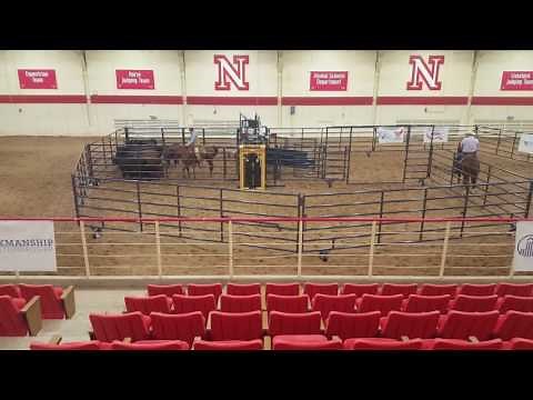 Wrangler Portable Corral Low stress cattle handling
